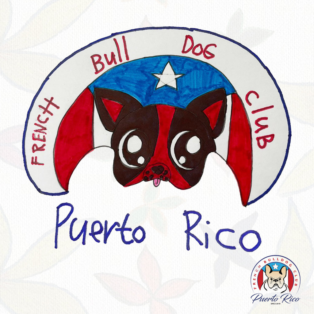 French Bulldog Club PR